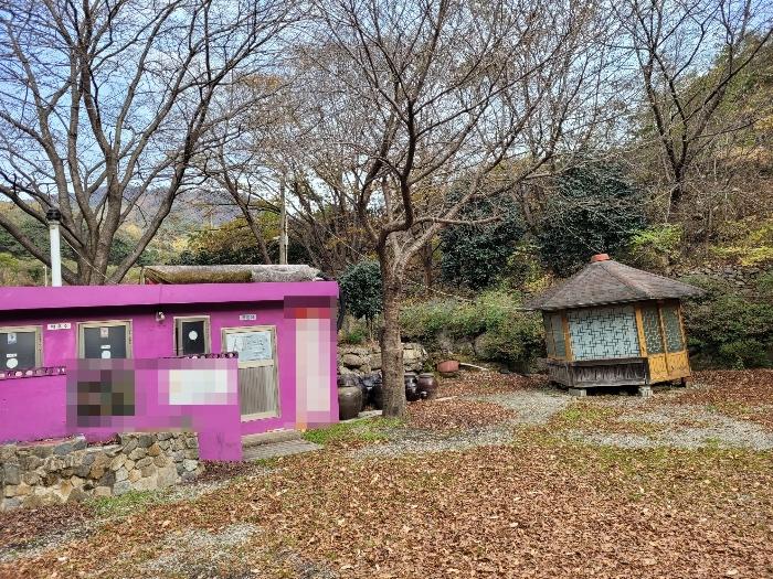 경상남도 밀양시 삼랑진읍 삼랑리 201 전 경매 사진 13