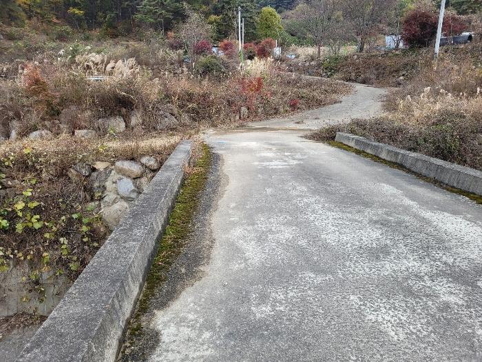 경상남도 밀양시 삼랑진읍 삼랑리 201 전 경매 사진 8