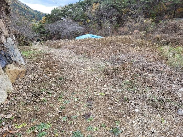 경상남도 밀양시 삼랑진읍 행곡리 1339 답 경매 사진 20