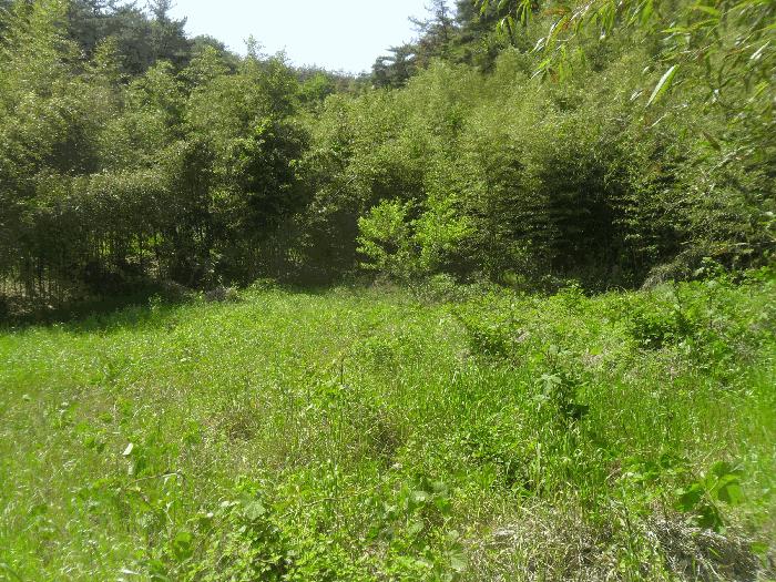 경상남도 밀양시 청도면 구기리 산85 임야 경매 사진 9