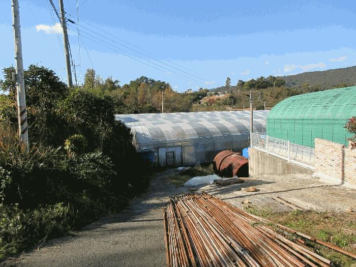 전라남도 고흥군 도덕면 신양리 524-1 전 경매 사진 7