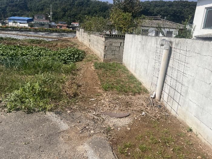 경상남도 창녕군 대지면 왕산리 309-3 답 경매 사진 2