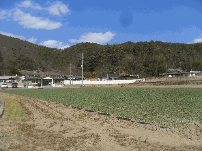경상남도 창녕군 유어면 선소리 639 답 경매 사진 1