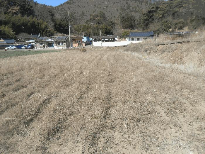 경상남도 창녕군 유어면 선소리 639 답 경매 사진 2
