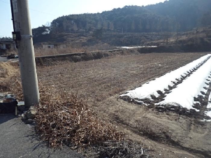경상남도 창녕군 유어면 선소리 639 답 경매 사진 6