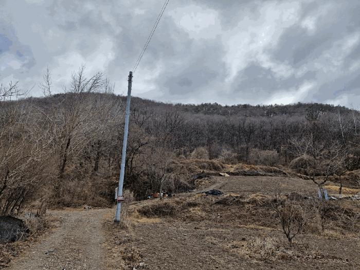 경상남도 밀양시 무안면 연상리 산250-1 임야 경매 사진 2