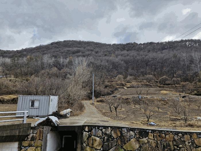 경상남도 밀양시 무안면 연상리 산250-1 임야 경매 사진 4