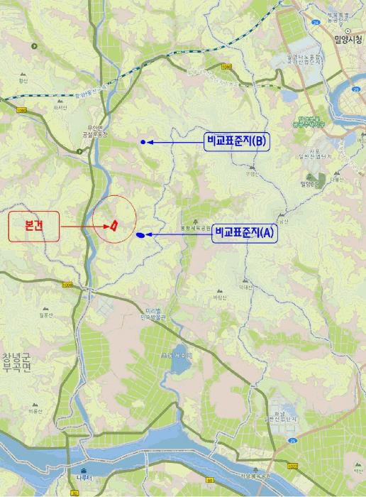 경상남도 밀양시 무안면 연상리 산250-1 임야 경매 사진 9