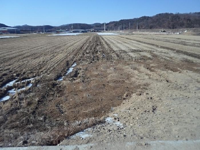 경상남도 창녕군 답
