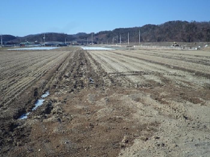 경상남도 창녕군 장마면 산지리 254 답 경매 사진 2