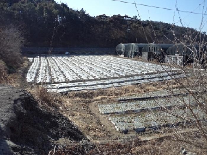 경상남도 창녕군 대지면 효정리 1517 다세대(빌라) 경매 사진 1