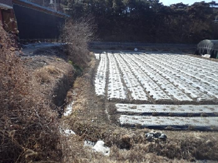 경상남도 창녕군 대지면 효정리 1517 다세대(빌라) 경매 사진 2