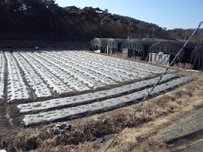 경상남도 창녕군 대지면 효정리 1517 다세대(빌라) 경매 사진 3