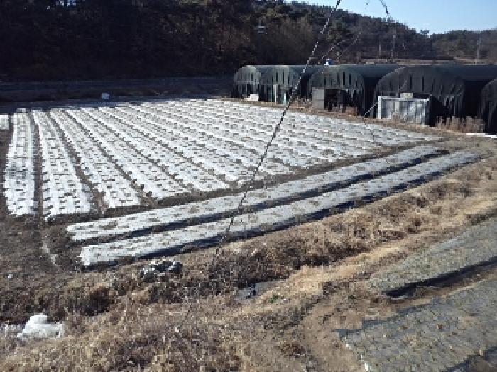 경상남도 창녕군 대지면 효정리 1517 다세대(빌라) 경매 사진 4