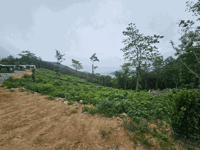 전라남도 고흥군 동일면 백양리 1225-3 펜션(캠핑장) 경매 사진 8