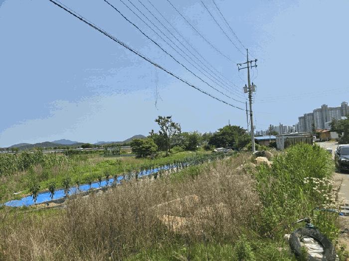 전라남도 무안군 삼향읍 남악리 106 답 경매 사진 14