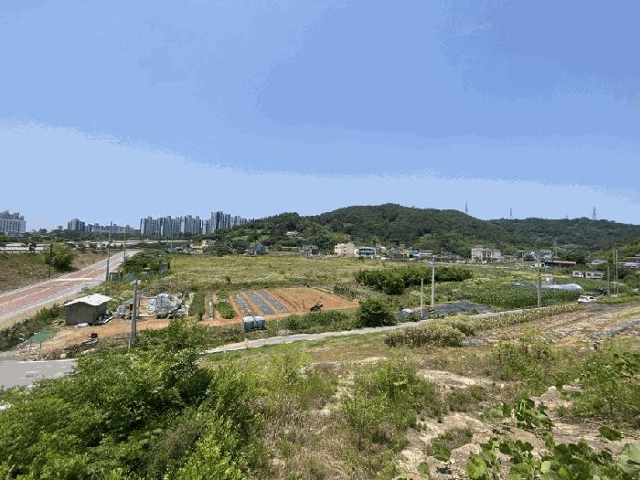 전라남도 무안군 삼향읍 남악리 106 답 경매 사진 9