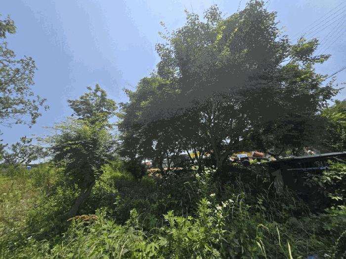 전라남도 무안군 삼향읍 남악리 107-5 답 경매 사진 6
