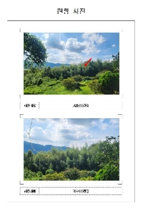 전라남도 영암군 금정면 용흥리 788 전 경매 사진 5