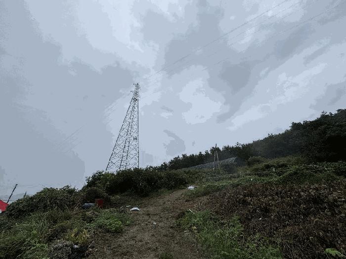 전라남도 신안군 전