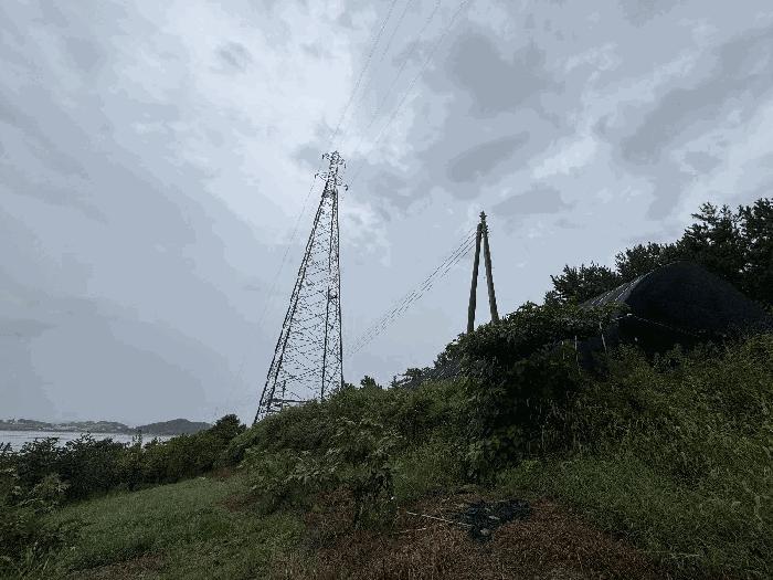 전라남도 신안군 증도면 병풍리 996 전 경매 사진 5