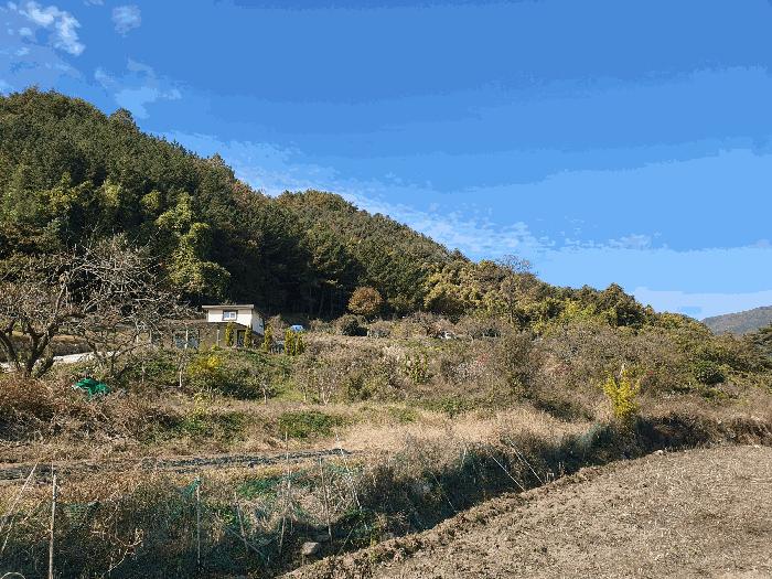 전라남도 광양시 옥룡면 추산리 446 전 경매 사진 1