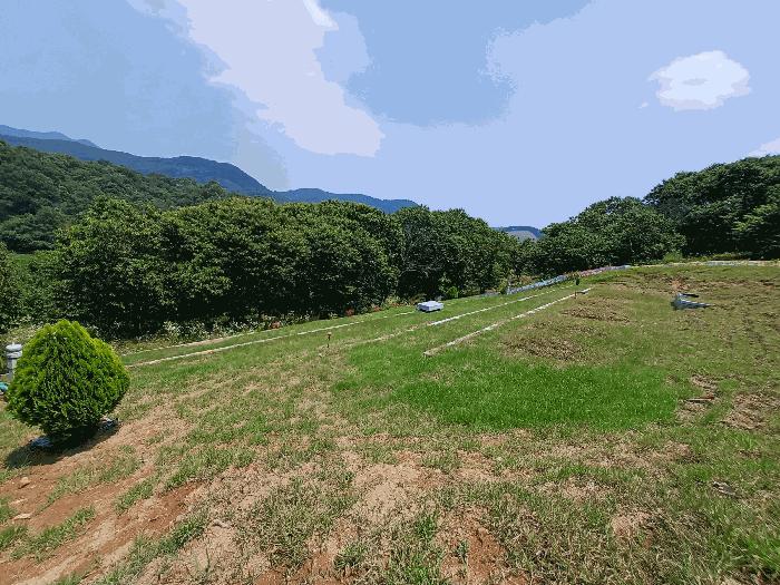 경상남도 하동군 양보면 감당리 266 전 경매 사진 12
