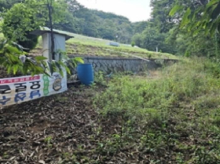 경상남도 하동군 양보면 감당리 288 전 경매 사진 19