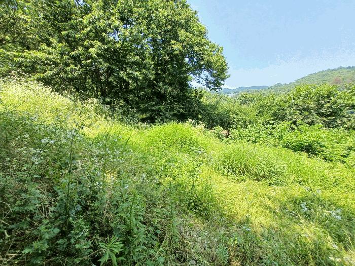 경상남도 하동군 양보면 감당리 381-1 전 경매 사진 10