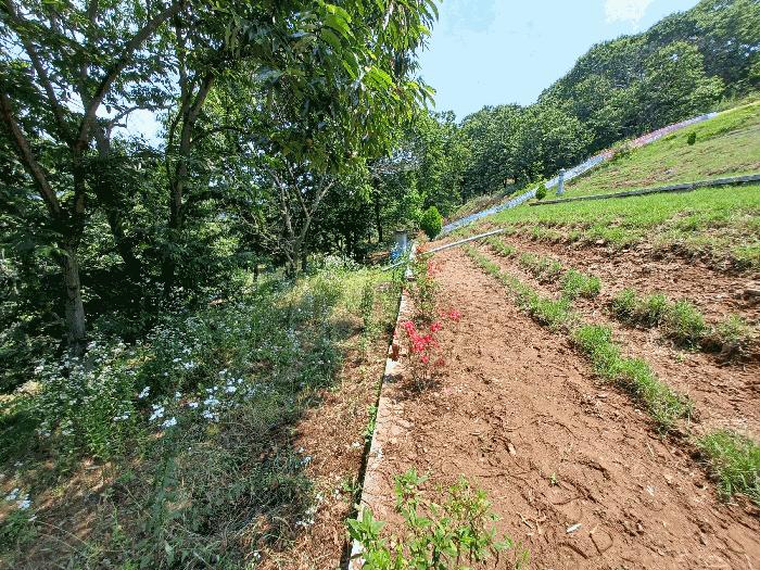경상남도 하동군 양보면 감당리 381-1 전 경매 사진 16