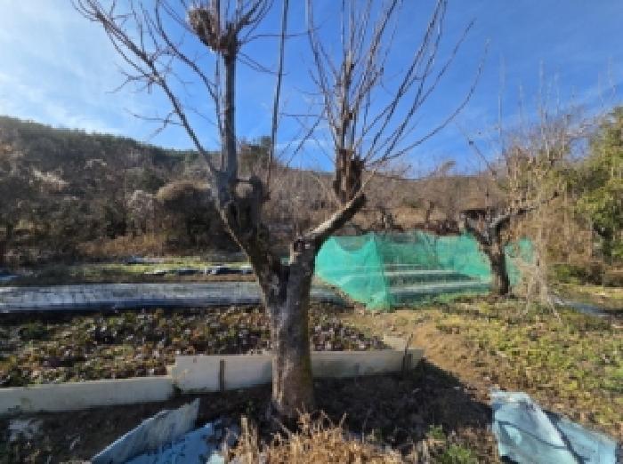 전라남도 순천시 저전동 295 전 경매 사진 14