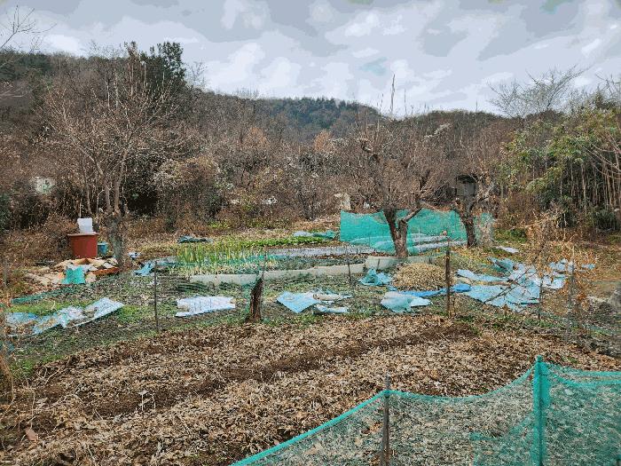 전라남도 순천시 저전동 295 전 경매 사진 2
