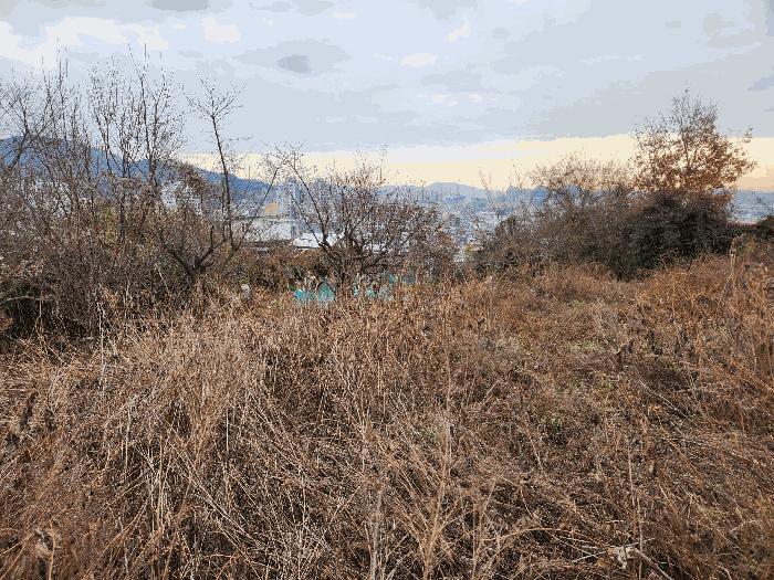 전라남도 순천시 저전동 295 전 경매 사진 4