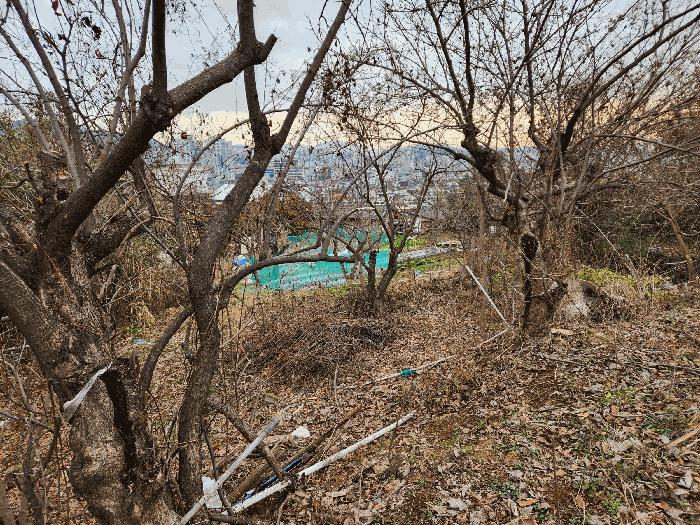 전라남도 순천시 저전동 295 전 경매 사진 5