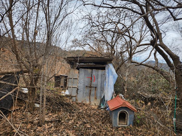 전라남도 순천시 저전동 295 전 경매 사진 7