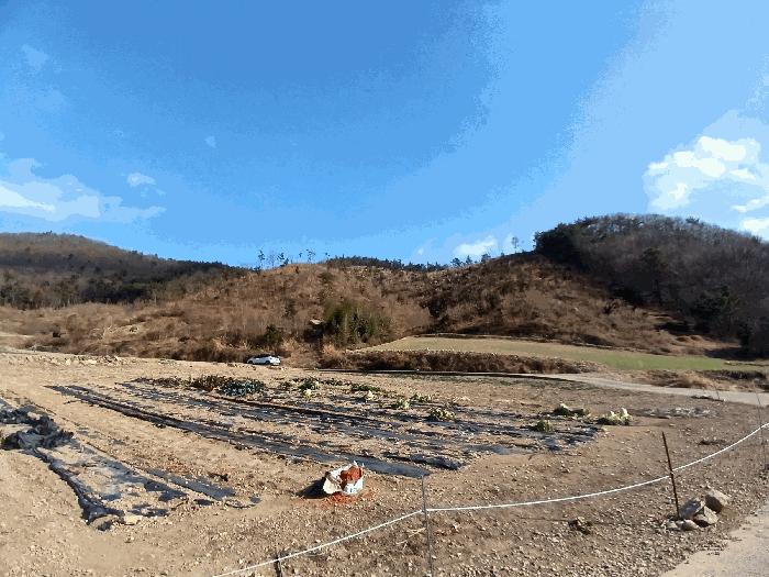 전라남도 고흥군 포두면 남성리 산38-1 임야 경매 사진 1