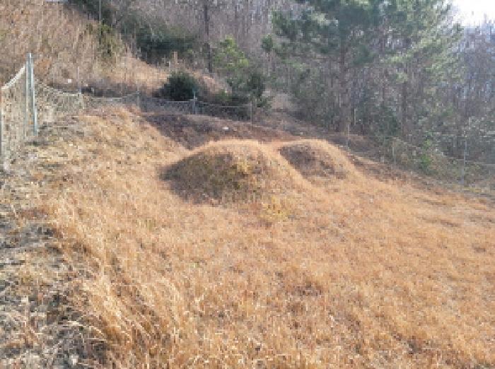 전라남도 고흥군 포두면 남성리 산38-1 임야 경매 사진 13