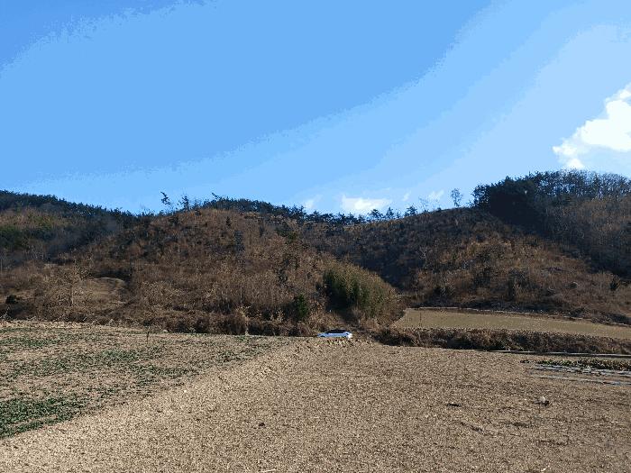 전라남도 고흥군 포두면 남성리 산38-1 임야 경매 사진 2