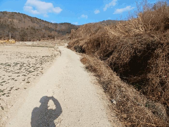 전라남도 고흥군 포두면 남성리 산38-1 임야 경매 사진 3