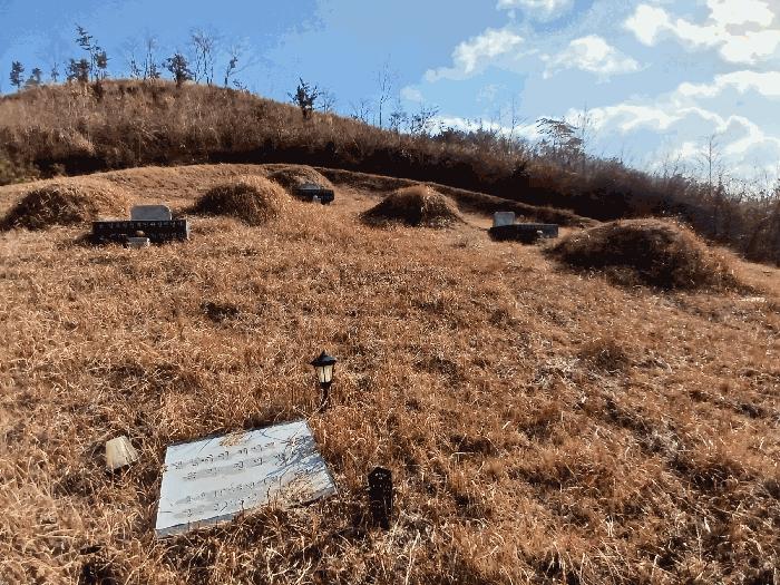 전라남도 고흥군 포두면 남성리 산38-1 임야 경매 사진 4