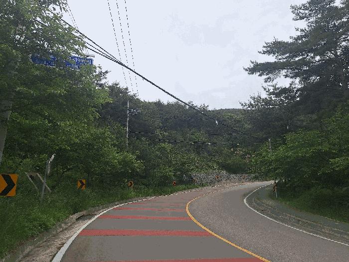 경상남도 산청군 신안면 외송리 산15-31 임야 경매 사진 2