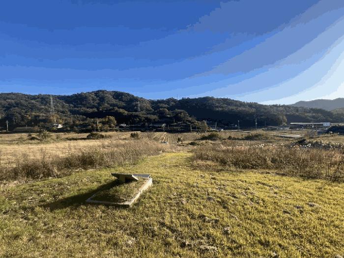 전라남도 무안군 몽탄면 봉명리 699-11 답 경매 사진 5
