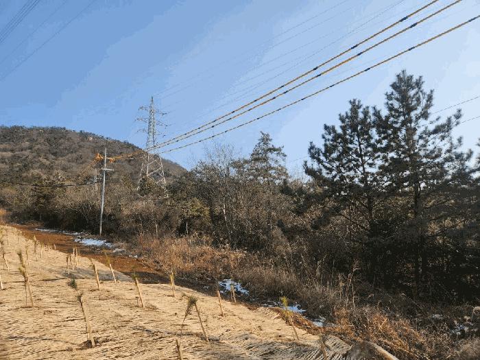 전라남도 신안군 압해읍 매화리 산320 임야 경매 사진 1