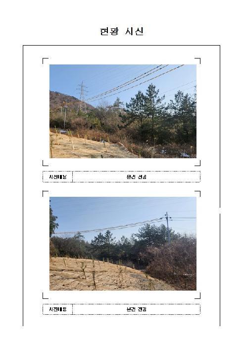 전라남도 신안군 압해읍 매화리 산320 임야 경매 사진 3