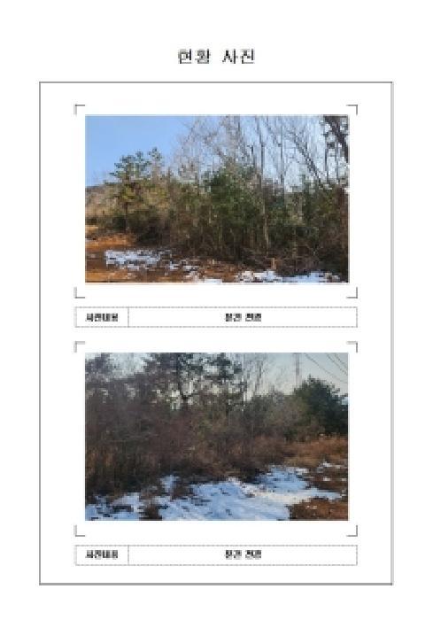 전라남도 신안군 압해읍 매화리 산320 임야 경매 사진 4