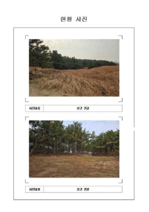 전라남도 신안군 임자면 도찬리 산115-16 임야 경매 사진 5
