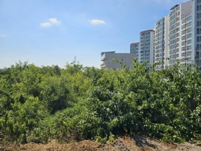 경상남도 진주시 문산읍 삼곡리 713-2 답 경매 사진 8