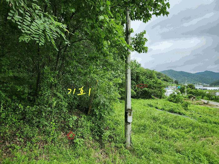 경상남도 진주시 집현면 봉강리 734 주택 경매 사진 11