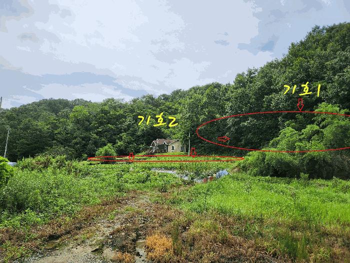 경상남도 진주시 집현면 봉강리 734 주택 경매 사진 5