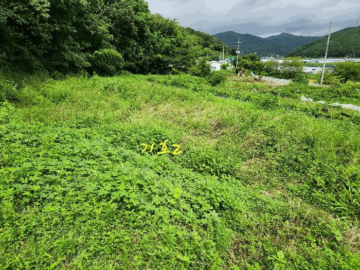 경상남도 진주시 집현면 봉강리 734 주택 경매 사진 9